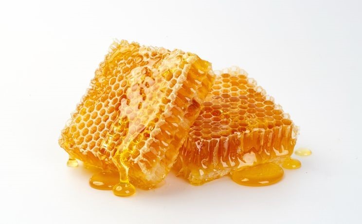  Origins Organic Honey Thousand Oaks New Port Richey FL